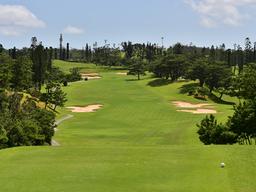 그 겨울, '골프' 바람이 분다.