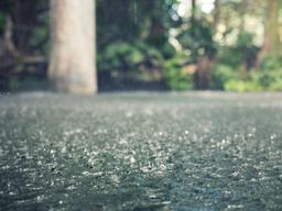 비가 오는 날 더 졸린 이유