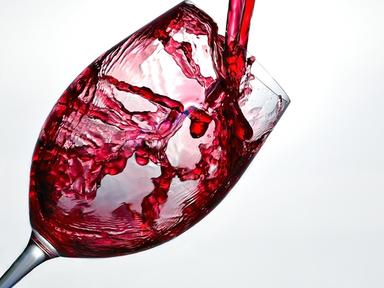 와인 왕초보,<br>겁 없이 즐기자!