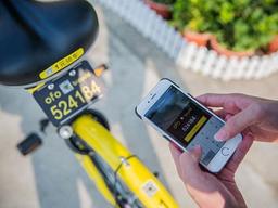 공유지의 비극, 공유경제의 비극