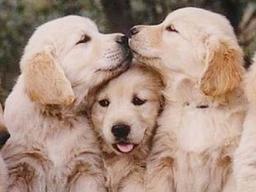 만나면 반갑다고 <strong>뽀뽀뽀</strong>