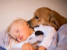 퇴근하면 뽀뽀하자는 내 반려견의 진짜 속내!