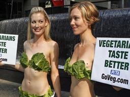 <strong>채식주의</strong>가 무조건 건강을 보장하지 않는다