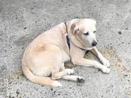 홧김비용, 뭐가 문제야?