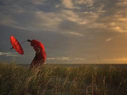 애플이 직접 알려주는 '아이폰7/7플러스'로 <strong>사진</strong> <strong>잘</strong> <strong>찍는</strong> <strong>방법</strong> 16가지