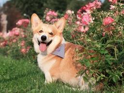 초강력 <strong>유전자</strong>의 위엄