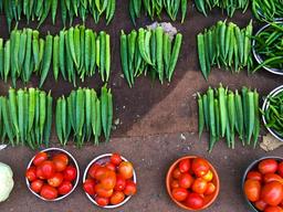 채소로 작품을 만드는 생활 예술가들, 짤라이 마켓
