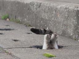 <strong>블랙홀</strong> 같은 매력