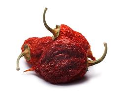 먹으면 죽을수도 있는 세계에서 가장 매운 고추 순위