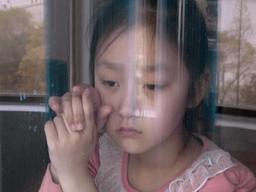 북한의 현실을 담다, 태양 아래