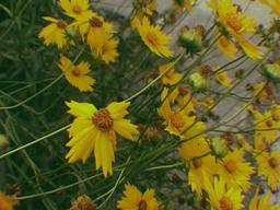 아날로그 <strong>필름</strong>을 느껴봐 구닥<strong>필름</strong>