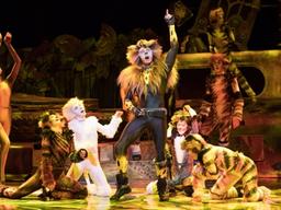 세상에서 가장 수명이 긴 고양이 - 뮤지컬 <<strong>캣츠</strong>>