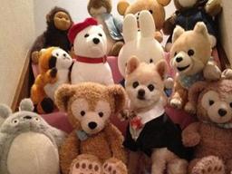 <strong>댕댕이</strong>가 숨어있다!