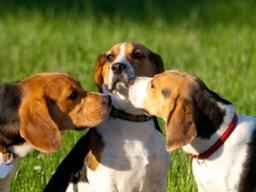 초면에 '주물럭 주물럭'... <strong>무례</strong>하시네요