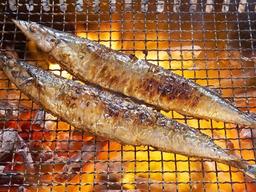 구이도 조림도 최고! 맛있는 꽁치 요리 10