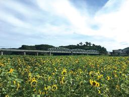 오늘도 흥미진진, 공주