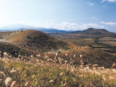 억새가 파도치는 오름에 선 나는 가을을 항해하는 뱃사공