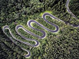 내셔널 지오그래픽: 올해의 <strong>자연</strong><strong>사진</strong> 후보작 11