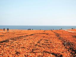 <strong>제주도</strong>의 '색'을 만나다