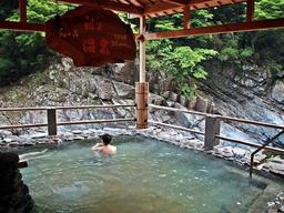 시코쿠 이야계곡 니노야도 <strong>호텔</strong> 이야 온센