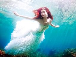 깊고 푸른 미지의 세계로