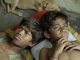 행복까지 <strong>30일</strong>: 진정한 행복이 여기에