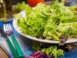 <strong>상추</strong>, 고기 없이도 자주 먹어야 하는 이유