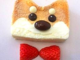 ‘개의 해 맞이’ 카페 개빵 먹어본 후기...