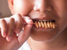 마침내 <strong>식용 곤충</strong>이 뜰까…EU, 식품 판매 허가