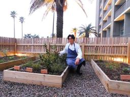 “바닷바람 이겨낸 채소는 손님에게, 음식물 찌꺼기는 <strong>거름</strong>으로…”