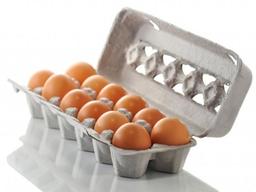 “이 달걀 어디서 생산됐을까?” 내년부터 <strong>껍데기</strong>로 확인하세요