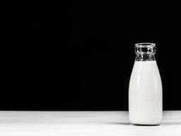 <strong>체중 감량</strong>에 특별히 도움되는 단백질은?