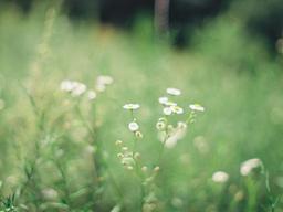 봄이 오는 소리, 울림이 있는 책들