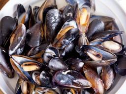 <strong>홍합</strong>ㆍ굴…봄철 수산물 ‘식중독 주의보’