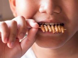 미래의 식탁을 책임질 5가지 식품 트렌드