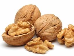 [지키자! <strong>뇌</strong> 건강 ③] <strong>뇌</strong>를 닮은 호두, 하루 5알 먹으면 <strong>뇌</strong> <strong>노화</strong> 억제해 줘요