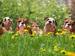 봄맞이 주의사항