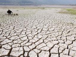 “기후변화로 아시아ㆍ남미서 먹을 게 사라진다”