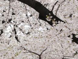 [미세먼지 대처하기 ①] 외출시 <strong>마스크</strong> <strong>착용</strong> 필수…코로 숨쉬는 습관 들이세요