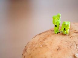 식탁을 지배하는 <strong>GMO</strong>, 최대한 피하고 싶다면…