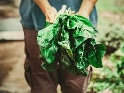 유기농 시장의 성장, 유럽 농식품 시장 이끈다