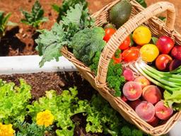 美 농부들이 나서서 새로운 ‘유기농 라벨’ 만든 이유는?