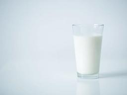 위산 분비를 촉진하는 식품들