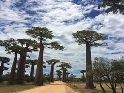 20대의 <strong>여행</strong>엔 있지만, 30대의 <strong>여행</strong>엔 없는 3가지