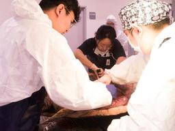 WWF, 국내 연구기관과 바다거북 보전 프로젝트 착수