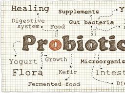 <strong>유당불내증</strong>이 있을 때 먹으면 좋은 음식