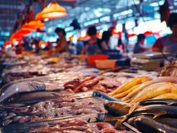 초여름부터 <strong>어패류</strong> 오염 비상, 조심할 점은…