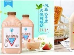 중국 '발효 요거트' 시장에 진출하려면?