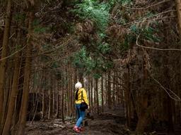 제주 웨딩 스냅, <strong>분위기</strong> 갑!