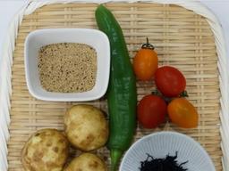 철분 가득한 ‘톳 샐러드’